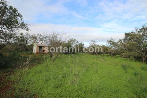 Helårsgrund i Silves, Faro, Silves - € 285.000 | Ref: Sort21587 - foto 1
