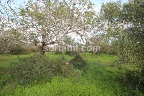 Helårsgrund i Silves, Faro, Silves - € 285.000 | Ref: Sort21587 - foto 3