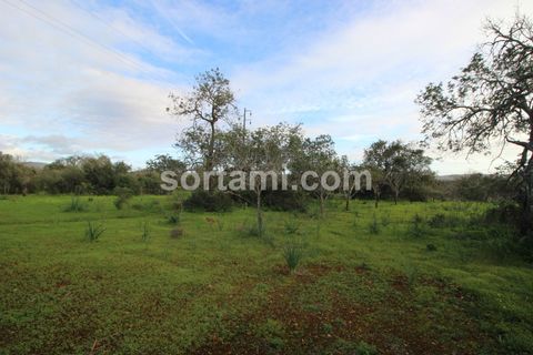Helårsgrund i Silves, Faro, Silves - € 285.000 | Ref: Sort21587 - foto 4