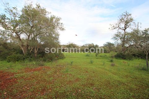 Helårsgrund i Silves, Faro, Silves - € 285.000 | Ref: Sort21587 - foto 5