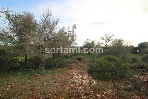 Helårsgrund i Silves, Faro, Silves - € 285.000 | Ref: Sort21587 - foto 6