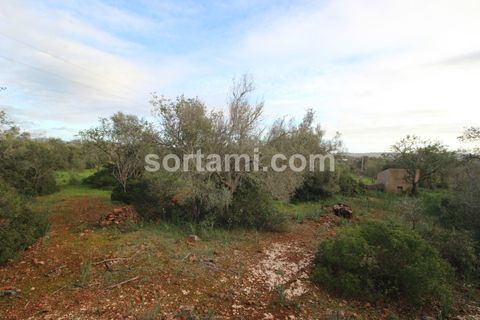 Helårsgrund i Silves, Faro, Silves - € 285.000 | Ref: Sort21587 - foto 7