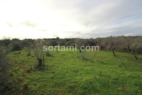 Helårsgrund i Silves, Faro, Silves - € 80.000 | Ref: Sort21588 - foto 1