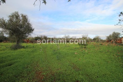 Helårsgrund i Silves, Faro, Silves - € 80.000 | Ref: Sort21588 - foto 2