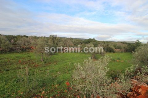 Helårsgrund i Silves, Faro, Silves - € 80.000 | Ref: Sort21588 - foto 3