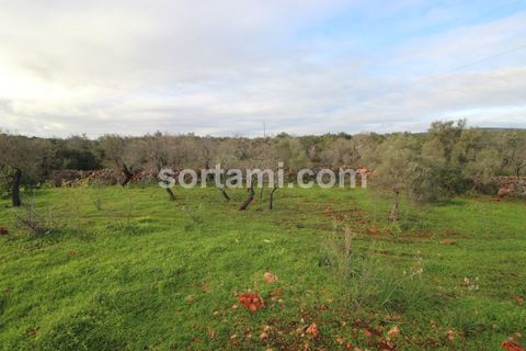 Helårsgrund i Silves, Faro, Silves - € 80.000 | Ref: Sort21588 - foto 4