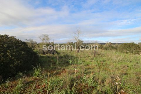 Helårsgrund i Silves, Faro, Silves - € 240.000 | Ref: Sort21589 - foto 7