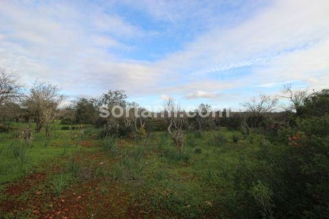 Helårsgrund i Silves, Faro, Silves - € 240.000 | Ref: Sort21589 - foto 9