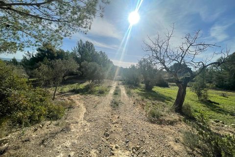 Finca i Calvia, Mallorca, Calvia - € 2.200.000 | Ref: 78551 - foto 4