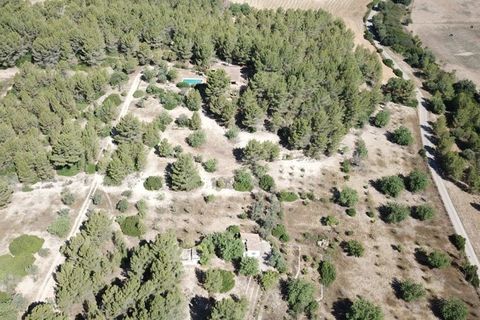 Finca i Calvia, Mallorca, Calvia - € 2.200.000 | Ref: 78551 - foto 5