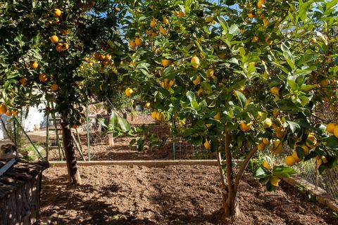 Byhus i Soller, Mallorca, Soller - € 1.100.000 | Ref: 78591 - foto 6