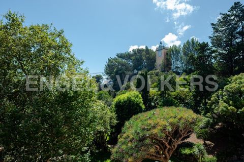 Villa i Oeiras, Lisbon, Oeiras - € 12.500.000 | Ref: W-02PRP0 - foto 35