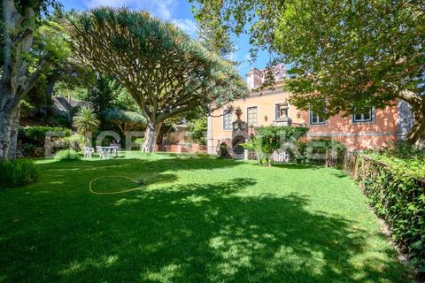 Villa i Oeiras, Lisbon, Oeiras - € 12.500.000 | Ref: W-02PRP0 - foto 38
