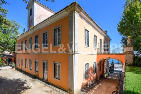 Villa i Oeiras, Lisbon, Oeiras - € 12.500.000 | Ref: W-02PRP0 - foto 43