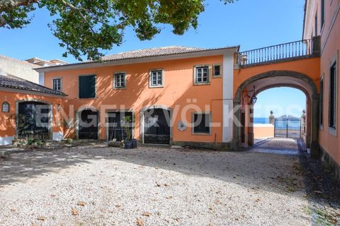 Villa i Oeiras, Lisbon, Oeiras - € 12.500.000 | Ref: W-02PRP0 - foto 47