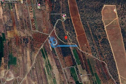 Helårsgrund i Albufeira, Faro, Albufeira - € 30.000 | Ref: T724 - foto 1