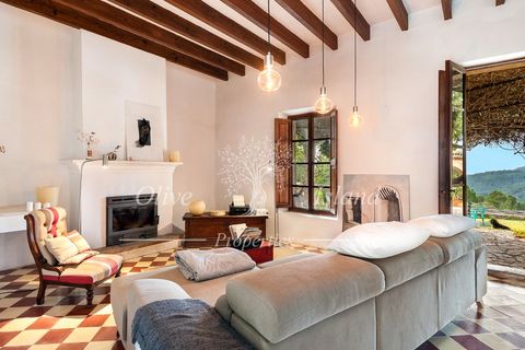 Landejendom i Andratx, Mallorca, Andratx - € 3.950.000 | Ref: ADTX455 - foto 11