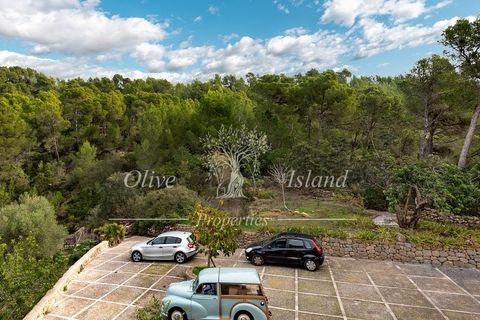 Landejendom i Andratx, Mallorca, Andratx - € 3.950.000 | Ref: ADTX455 - foto 19