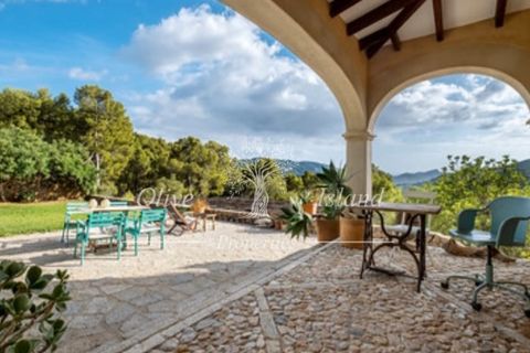 Landejendom i Andratx, Mallorca, Andratx - € 3.950.000 | Ref: ADTX455 - foto 29