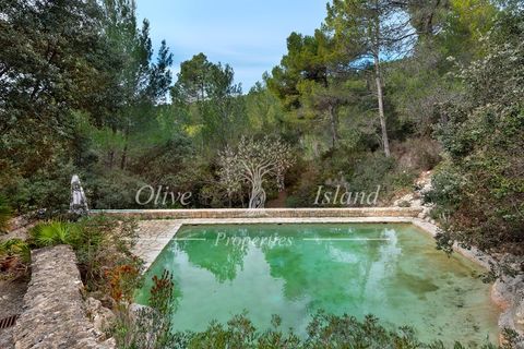 Landejendom i Andratx, Mallorca, Andratx - € 3.950.000 | Ref: ADTX455 - foto 30