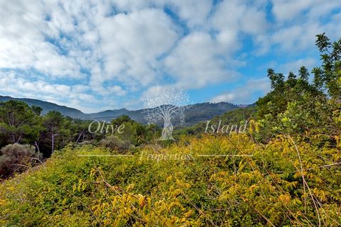 Landejendom i Andratx, Mallorca, Andratx - € 3.950.000 | Ref: ADTX455 - foto 33