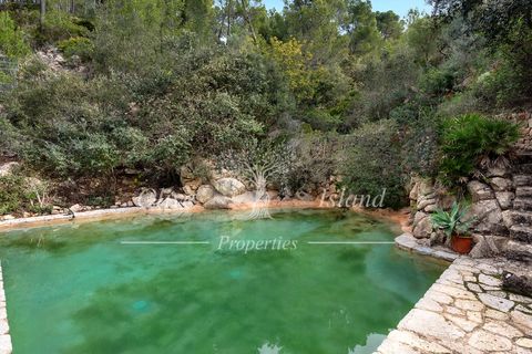 Landejendom i Andratx, Mallorca, Andratx - € 3.950.000 | Ref: ADTX455 - foto 6