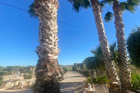 Finca i Dolores, Alicante, Dolores - € 510.000 | Ref: 968 - foto 9