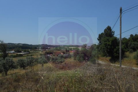 Helårsgrund i Tomar, Santarem, Tomar - € 450.000 | Ref: T 252 - foto 1