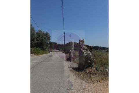 Helårsgrund i Tomar, Santarem, Tomar - € 450.000 | Ref: T 252 - foto 3