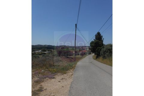 Helårsgrund i Tomar, Santarem, Tomar - € 450.000 | Ref: T 252 - foto 4