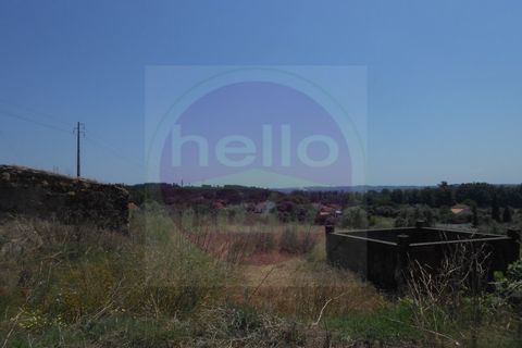 Helårsgrund i Tomar, Santarem, Tomar - € 450.000 | Ref: T 252 - foto 5
