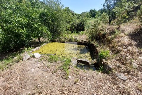 Farm hus i Monchique, Faro, Monchique - € 220.000 | Ref: 1745 - foto 1