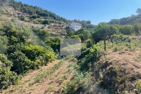 Farm hus i Monchique, Faro, Monchique - € 220.000 | Ref: 1745 - foto 2