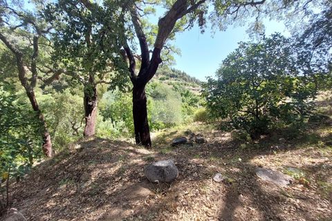 Farm hus i Monchique, Faro, Monchique - € 220.000 | Ref: 1745 - foto 4