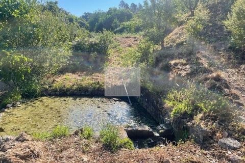 Farm hus i Monchique, Faro, Monchique - € 220.000 | Ref: 1745 - foto 11