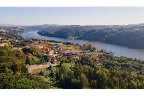 Farm i Gondomar, Porto, Gondomar - € 3.200.000 | Ref: SAFTI:004617 - foto 5