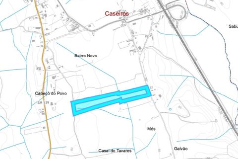 Terra a Olaia e Paco, Santarem, Olaia e Paco - € 39.000 | Ref: 01140-24 - foto 13