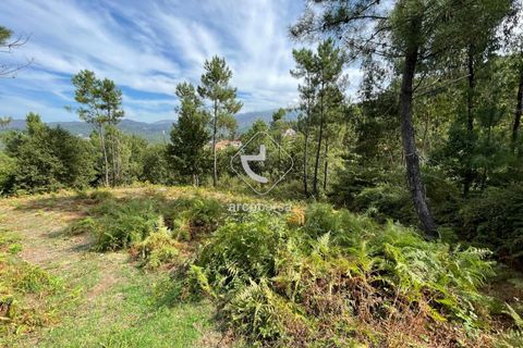 Helårsgrund i Arcos de Valdevez, Viana do Castelo, Arcos de Valdevez - € 40.000 | Ref: AV5756 - foto 5