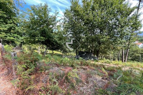 Helårsgrund i Arcos de Valdevez, Viana do Castelo, Arcos de Valdevez - € 40.000 | Ref: AV5756 - foto 7