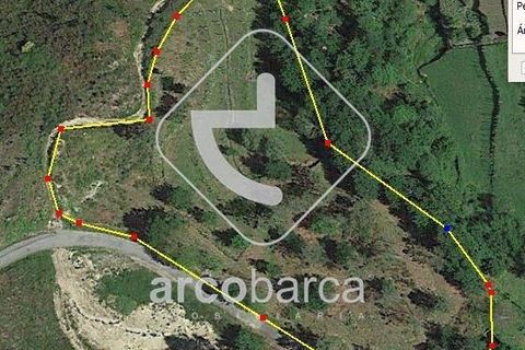 Helårsgrund i Arcos de Valdevez, Viana do Castelo, Arcos de Valdevez - € 40.000 | Ref: AV5756 - foto 9