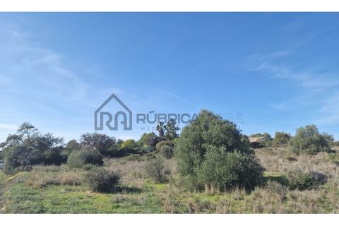 Helårsgrund i Almancil, Faro, Almancil - € 2.300.000 | Ref: 3013 - foto 4