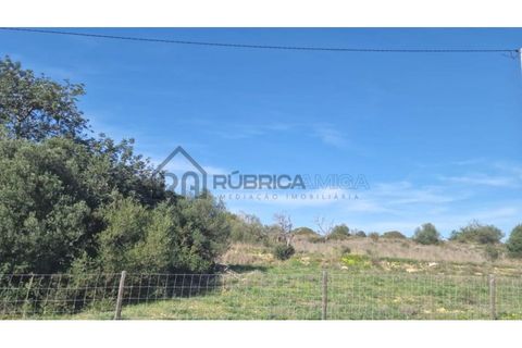 Helårsgrund i Almancil, Faro, Almancil - € 2.300.000 | Ref: 3013 - foto 5
