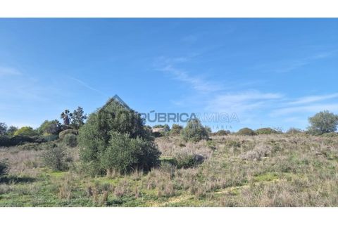 Helårsgrund i Almancil, Faro, Almancil - € 2.300.000 | Ref: 3013 - foto 6
