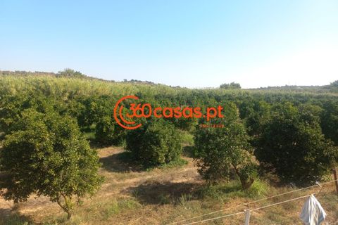 Villa i Tavira, Faro, Tavira - € 750.000 | Ref: 3601249 - foto 5