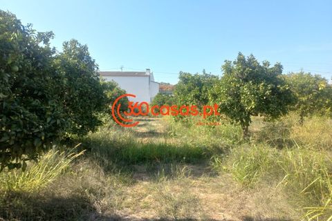 Villa i Tavira, Faro, Tavira - € 750.000 | Ref: 3601249 - foto 3