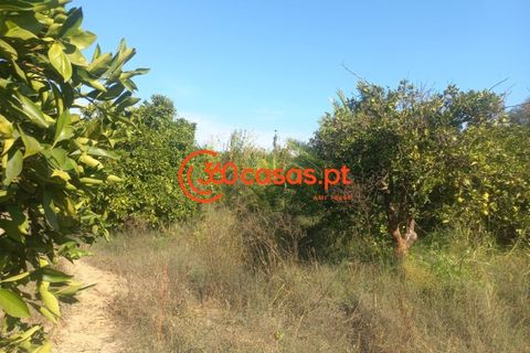 Villa i Tavira, Faro, Tavira - € 750.000 | Ref: 3601249 - foto 9