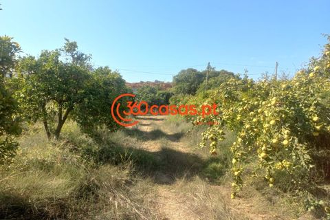 Villa i Tavira, Faro, Tavira - € 750.000 | Ref: 3601249 - foto 10