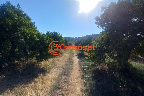 Villa i Tavira, Faro, Tavira - € 750.000 | Ref: 3601249 - foto 12