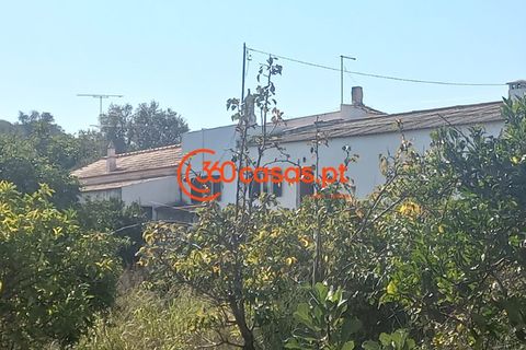 Villa i Tavira, Faro, Tavira - € 750.000 | Ref: 3601249 - foto 13