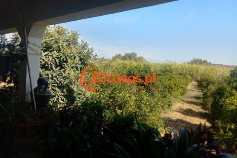Villa i Tavira, Faro, Tavira - € 750.000 | Ref: 3601249 - foto 15